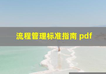 流程管理标准指南 pdf